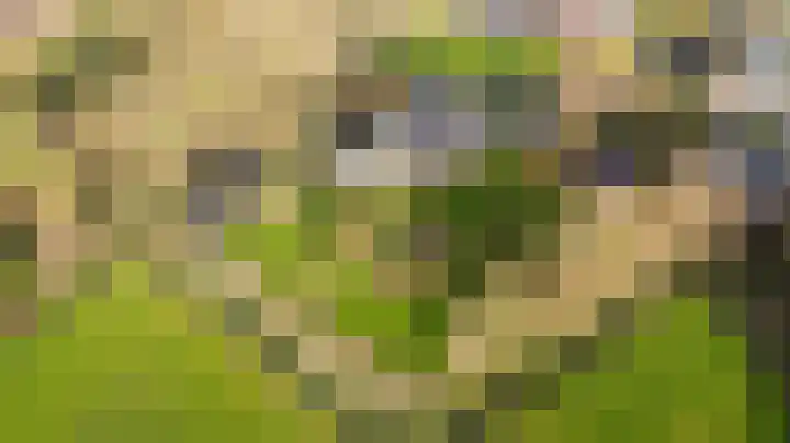 Toornwerderweg 4 Toornwerd thumbnail 91