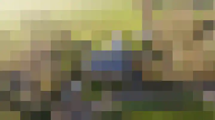 Toornwerderweg 4 Toornwerd thumbnail 92