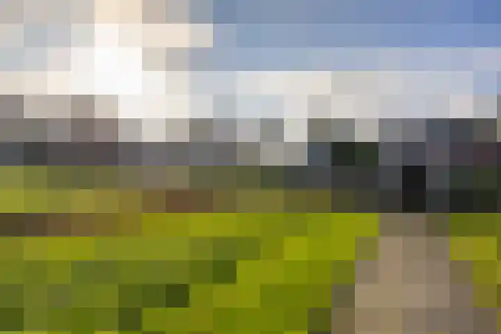 Toornwerderweg 4 Toornwerd thumbnail 93