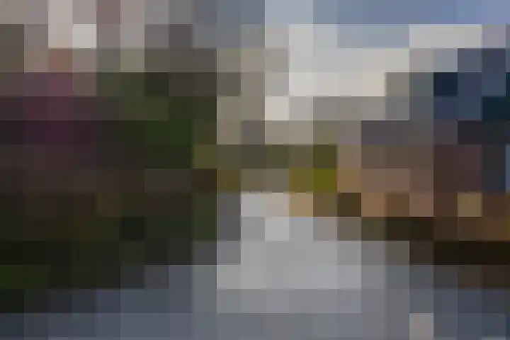 Toornwerderweg 4 Toornwerd thumbnail 95