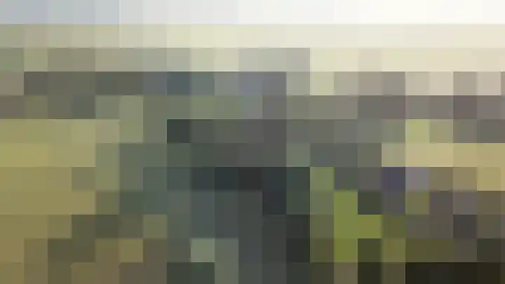 Toornwerderweg 4 Toornwerd thumbnail 96