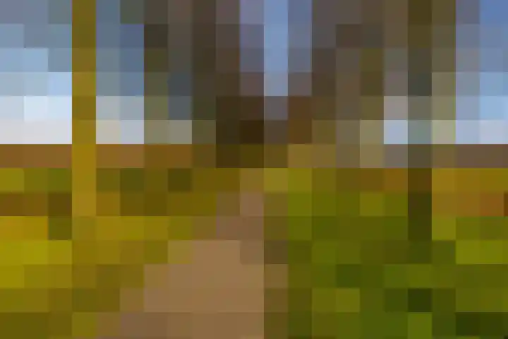 Toornwerderweg 4 Toornwerd thumbnail 97