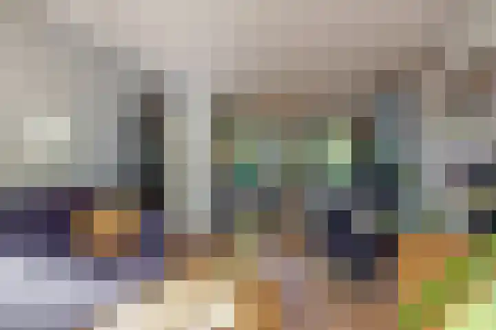 Tooroplaan 1 Maassluis thumbnail 13