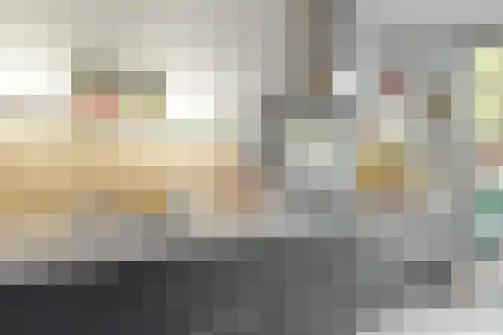 Tooroplaan 1 Maassluis thumbnail 18