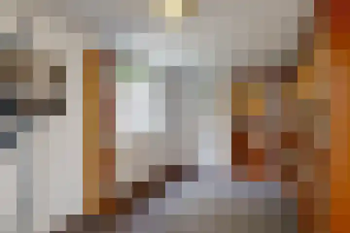 Tooroplaan 1 Maassluis thumbnail 20
