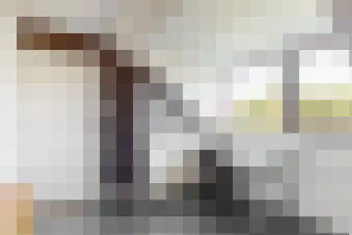 Tooroplaan 1 Maassluis thumbnail 38