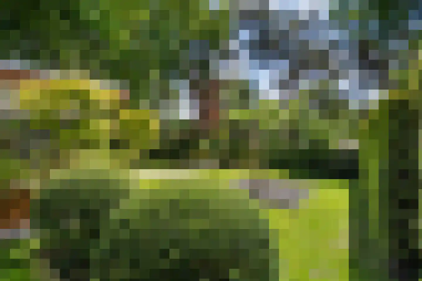 Tooroplaan 10 Weert thumbnail 10