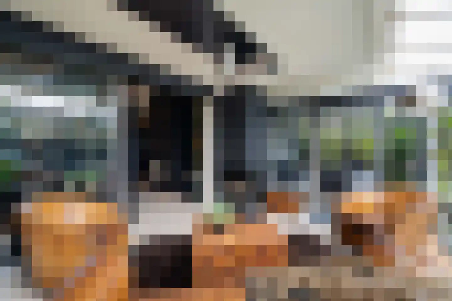 Tooroplaan 10 Weert thumbnail 18