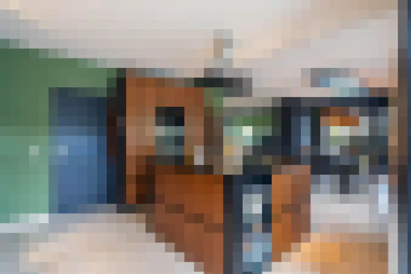 Tooroplaan 10 Weert thumbnail 21