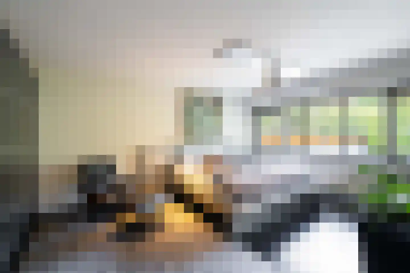Tooroplaan 10 Weert thumbnail 33