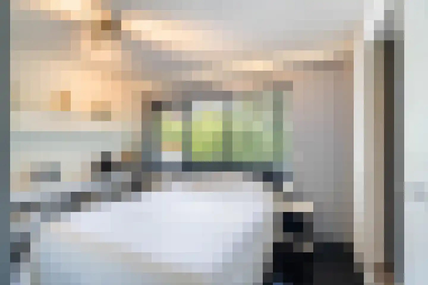 Tooroplaan 10 Weert thumbnail 37