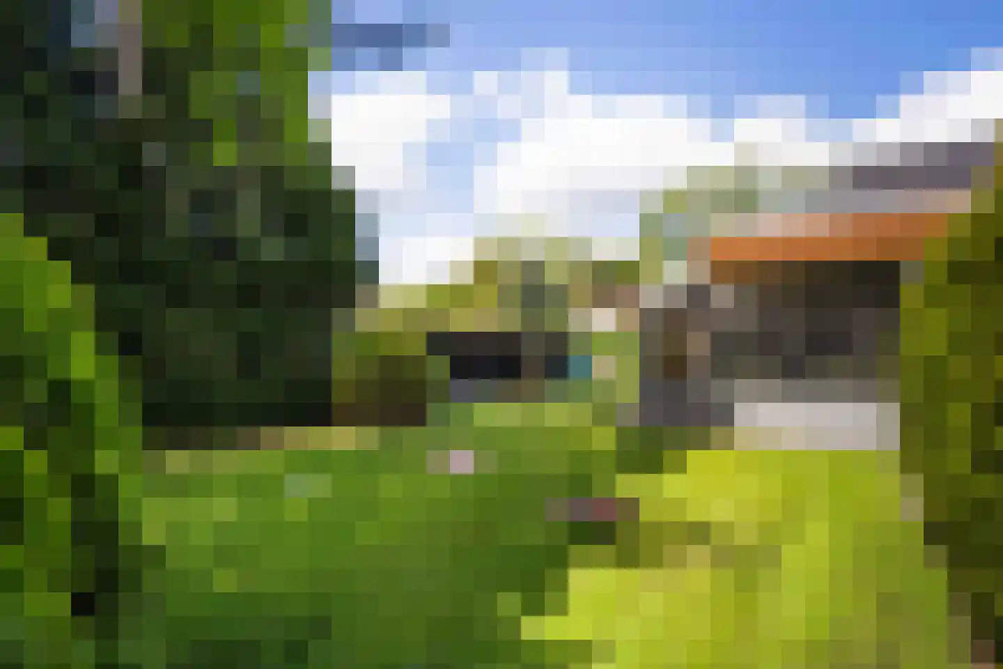 Tooroplaan 10 Weert thumbnail 47