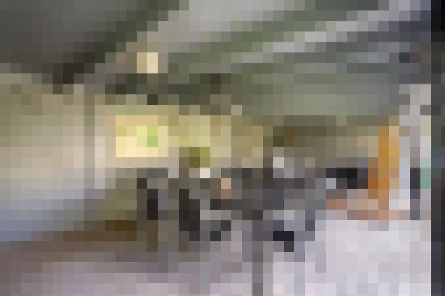 Tooroplaan 10 Weert thumbnail 49