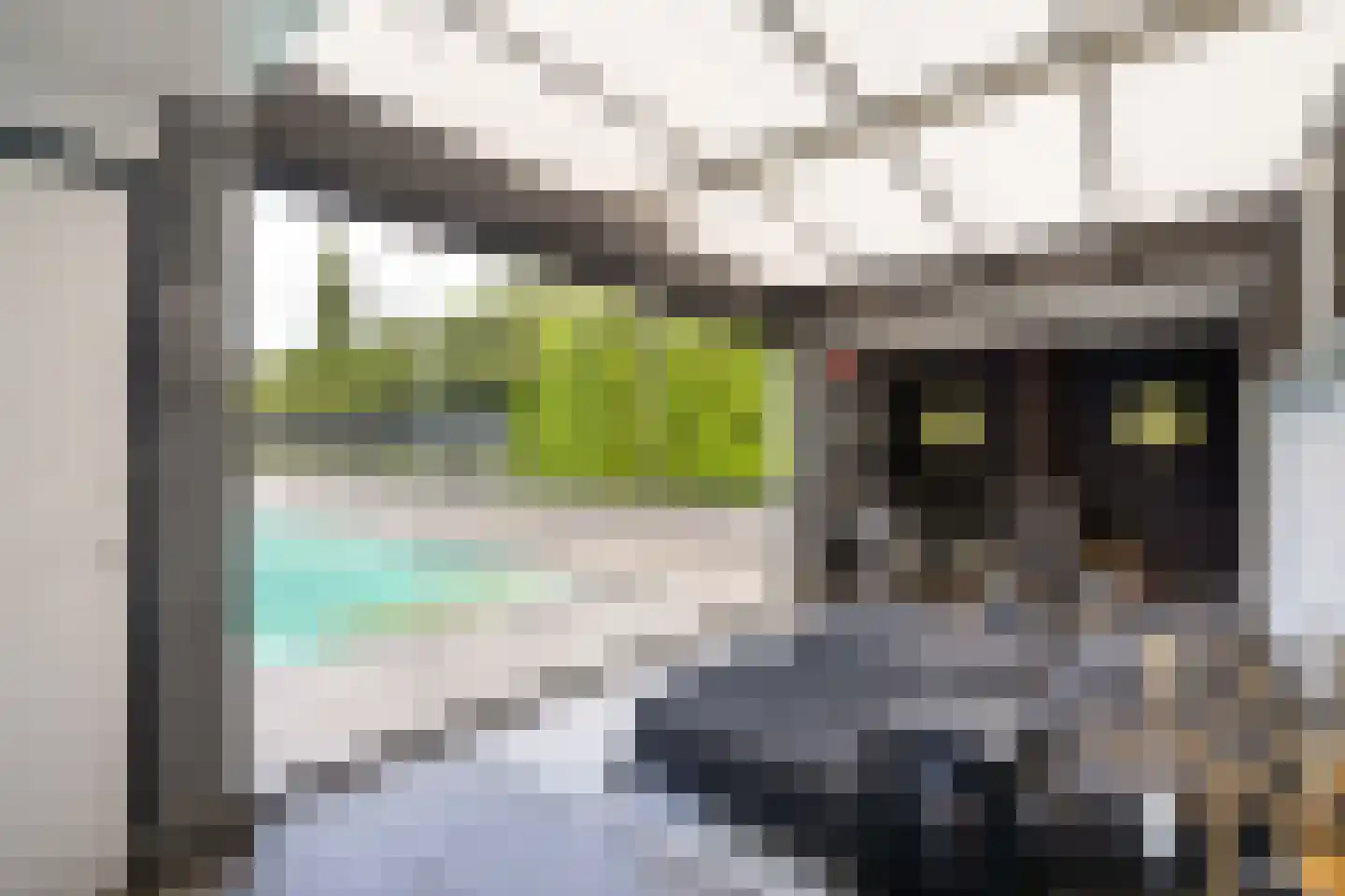 Tooroplaan 10 Weert thumbnail 56