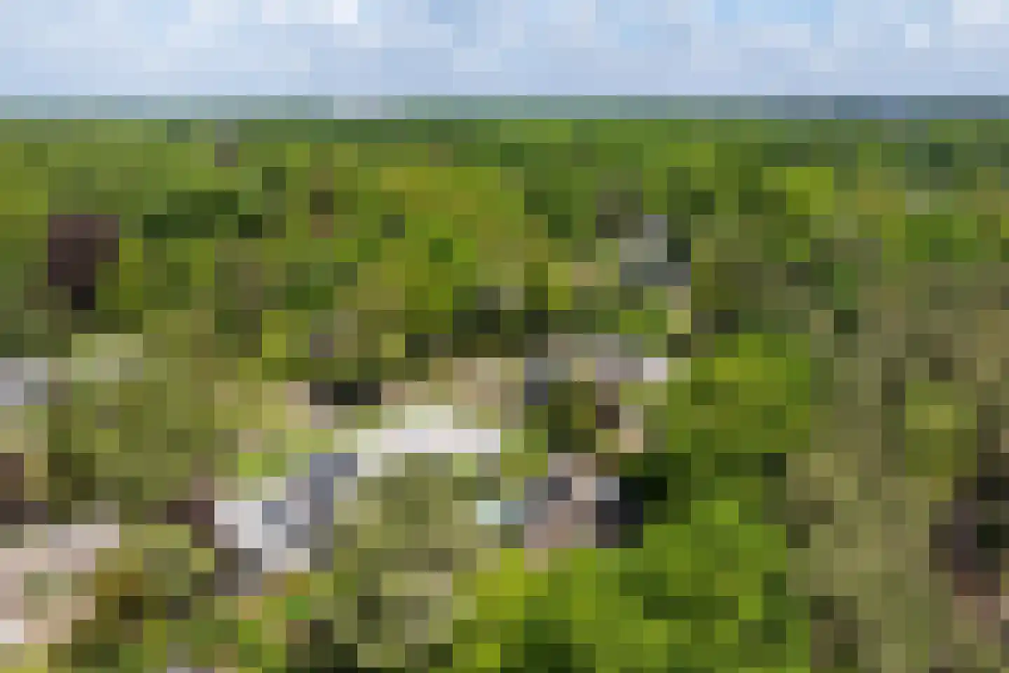 Tooroplaan 10 Weert thumbnail 66