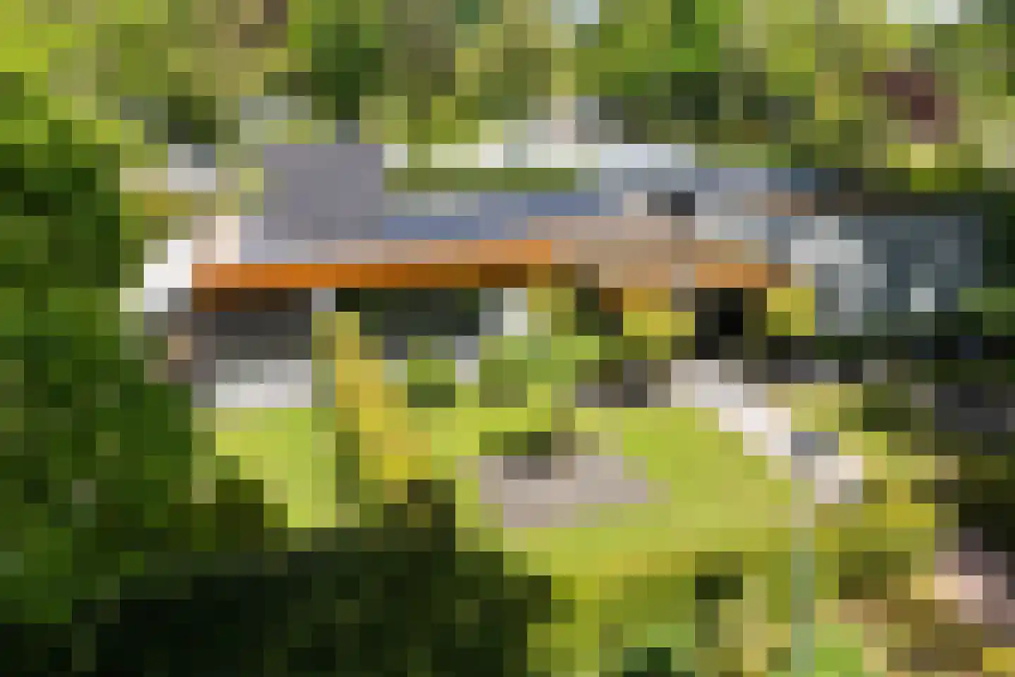 Tooroplaan 10 Weert thumbnail 7