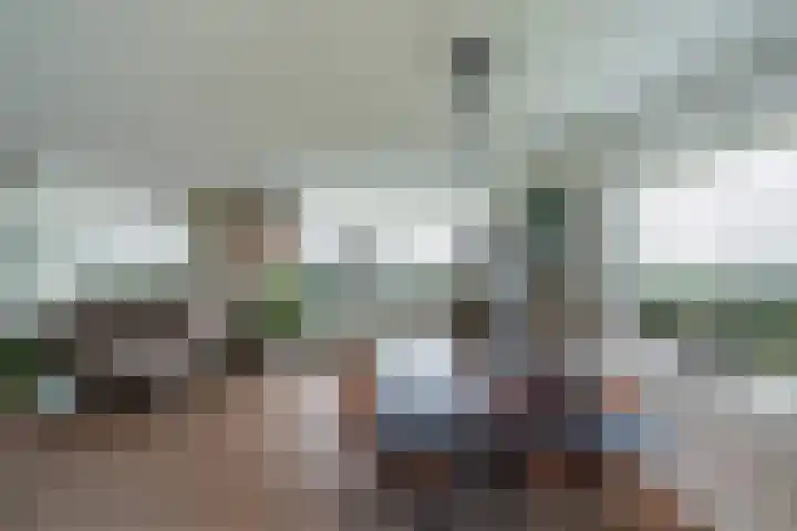 Tooroplaan 102 Maassluis thumbnail 4