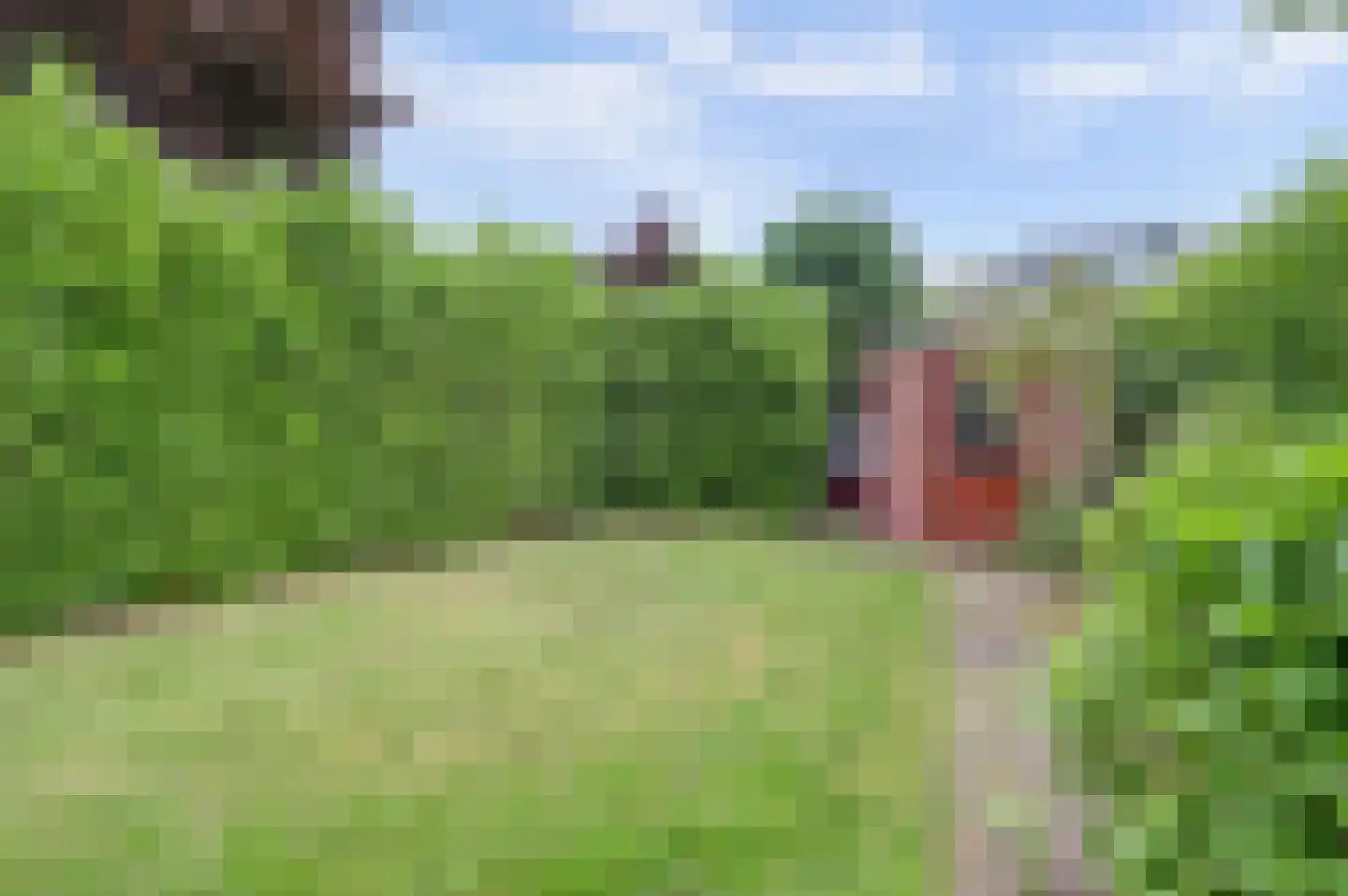 Tooroplaan 12 Nieuwegein thumbnail 22