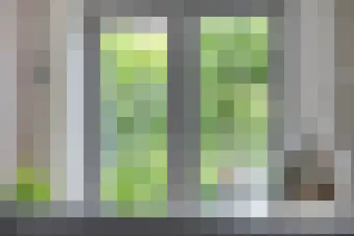 Tooroplaan 12 Rhoon thumbnail 10