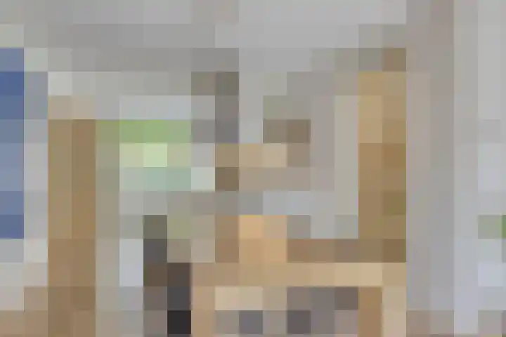 Tooroplaan 12 Rhoon thumbnail 13
