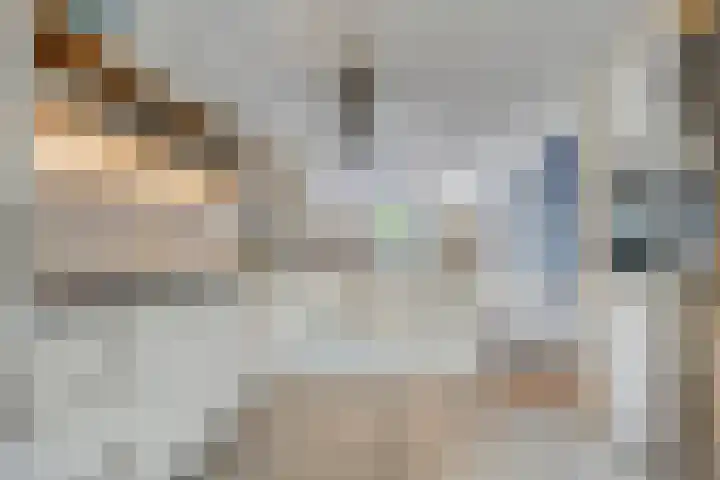 Tooroplaan 12 Rhoon thumbnail 14