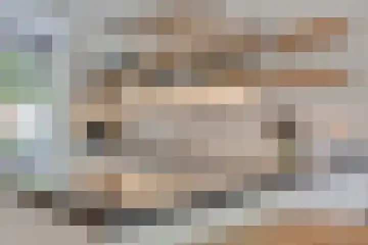 Tooroplaan 12 Rhoon thumbnail 15