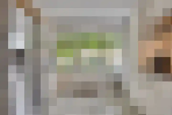 Tooroplaan 12 Rhoon thumbnail 16