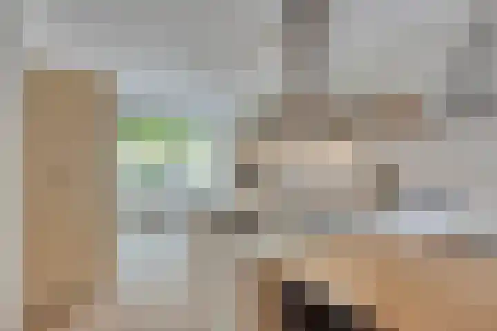 Tooroplaan 12 Rhoon thumbnail 18