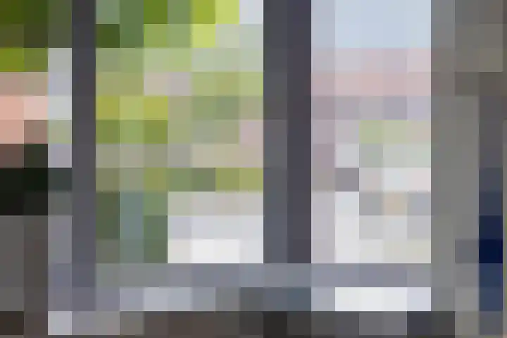 Tooroplaan 12 Rhoon thumbnail 22