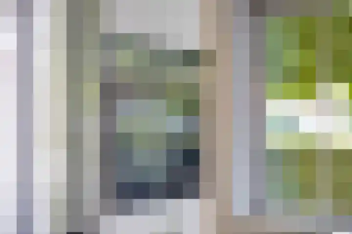 Tooroplaan 12 Rhoon thumbnail 23
