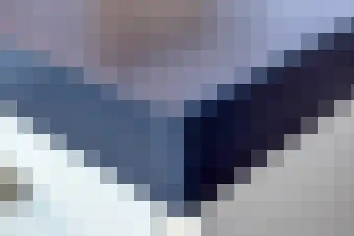 Tooroplaan 12 Rhoon thumbnail 24