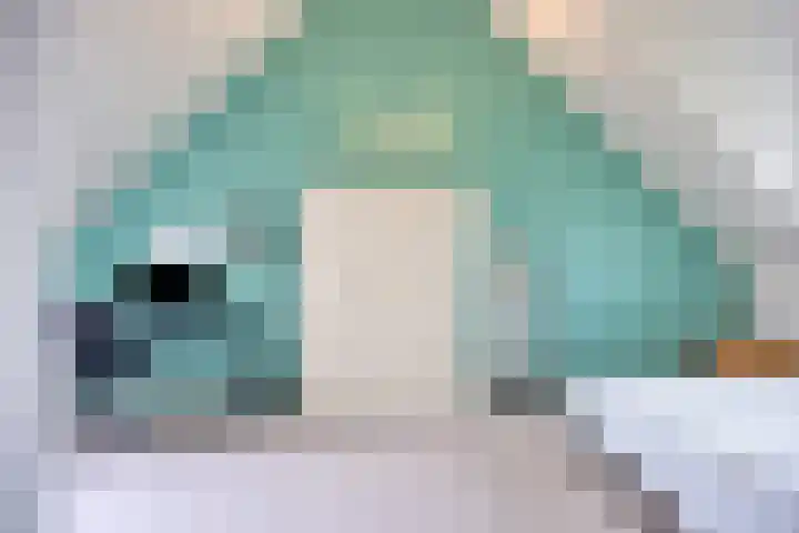 Tooroplaan 12 Rhoon thumbnail 32