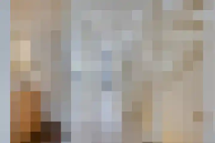 Tooroplaan 12 Rhoon thumbnail 39