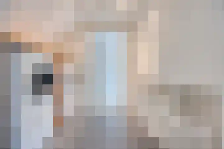 Tooroplaan 12 Rhoon thumbnail 41