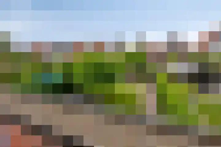 Tooroplaan 12 Rhoon thumbnail 47