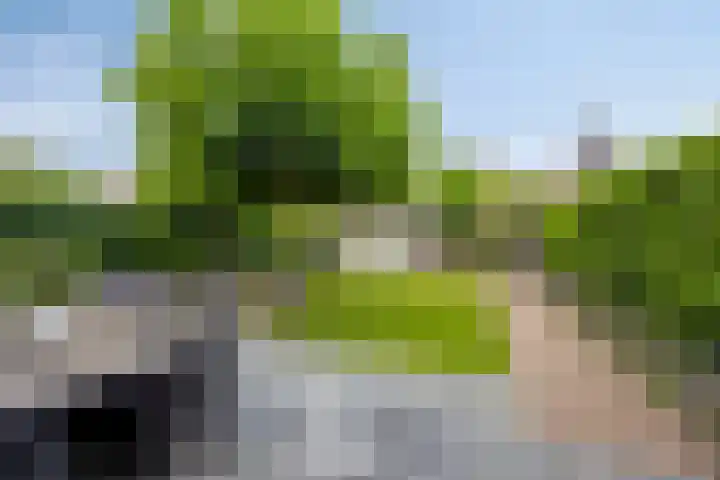 Tooroplaan 12 Rhoon thumbnail 49