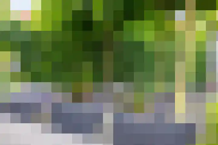 Tooroplaan 12 Rhoon thumbnail 50