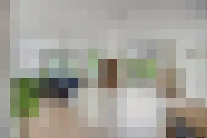 Tooroplaan 12 Rhoon thumbnail 6