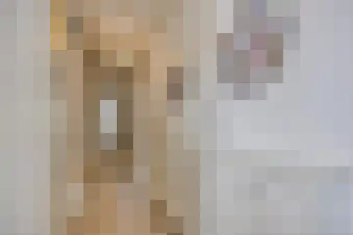 Tooroplaan 12 Rhoon thumbnail 7
