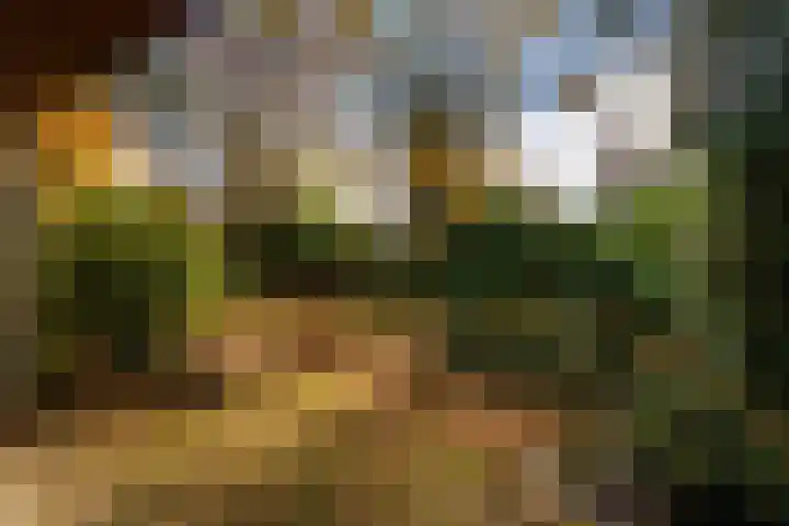 Tooroplaan 19 Weert thumbnail 46
