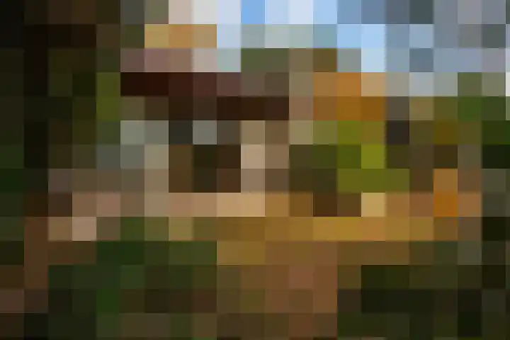 Tooroplaan 19 Weert thumbnail 47