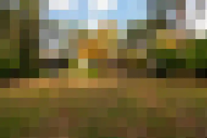 Tooroplaan 19 Weert thumbnail 52