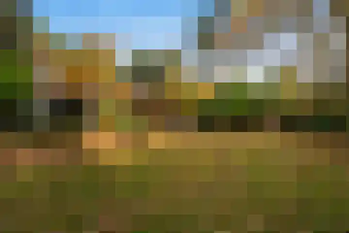 Tooroplaan 19 Weert thumbnail 53