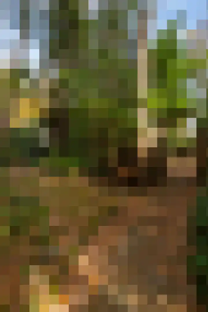 Tooroplaan 19 Weert thumbnail 54