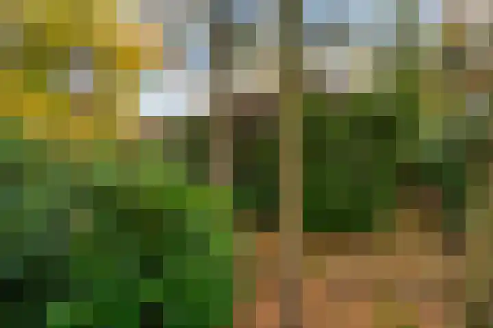 Tooroplaan 19 Weert thumbnail 55