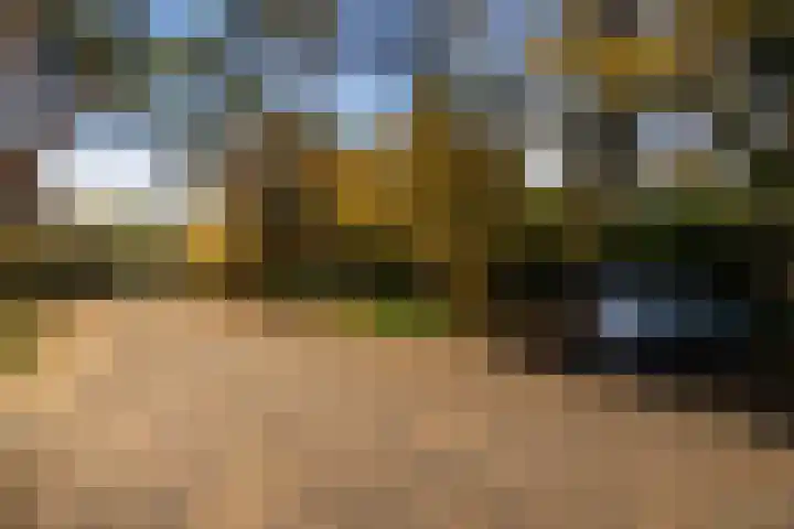 Tooroplaan 19 Weert thumbnail 56