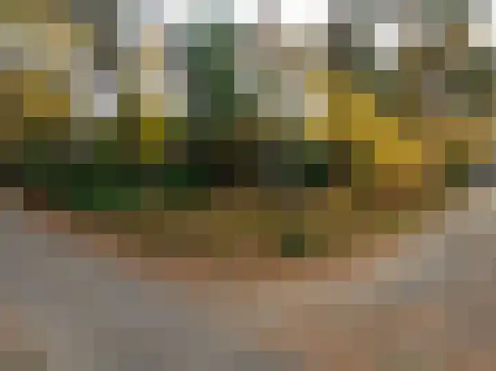 Tooroplaan 19 Weert thumbnail 58