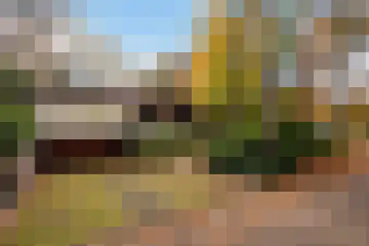Tooroplaan 19 Weert thumbnail 6