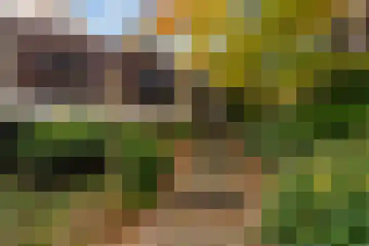 Tooroplaan 19 Weert thumbnail 7