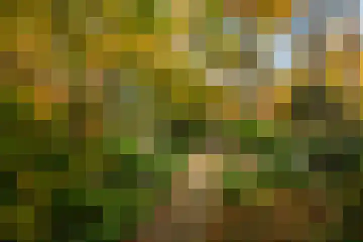 Tooroplaan 19 Weert thumbnail 8